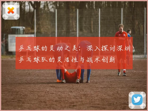 乒乓球的灵动之美：深入探讨深圳乒乓球队的灵活性与战术创新