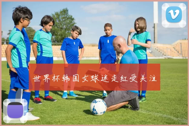 世界杯韩国女球迷走红受关注