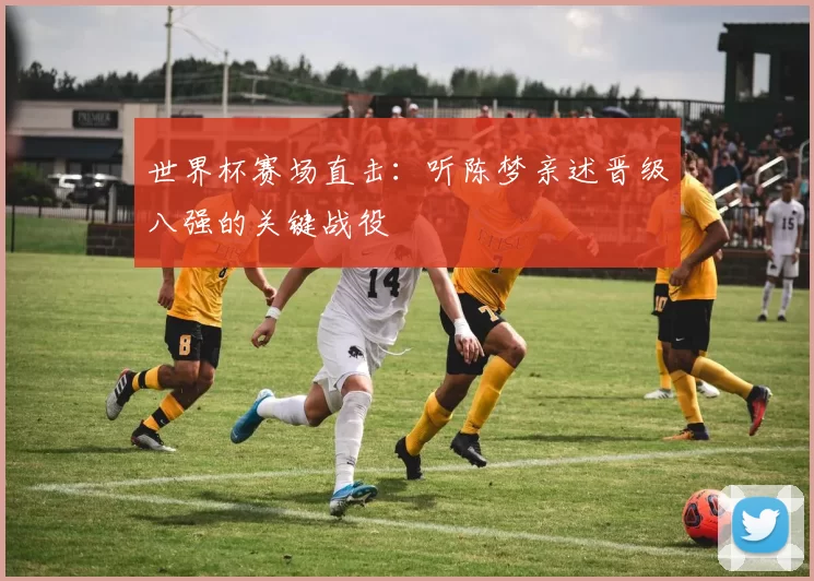 世界杯赛场直击:听陈梦亲述晋级八强的关键战役