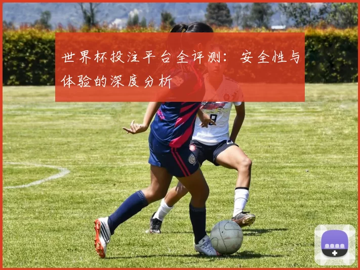 世界杯投注平台全评测：安全性与体验的深度分析