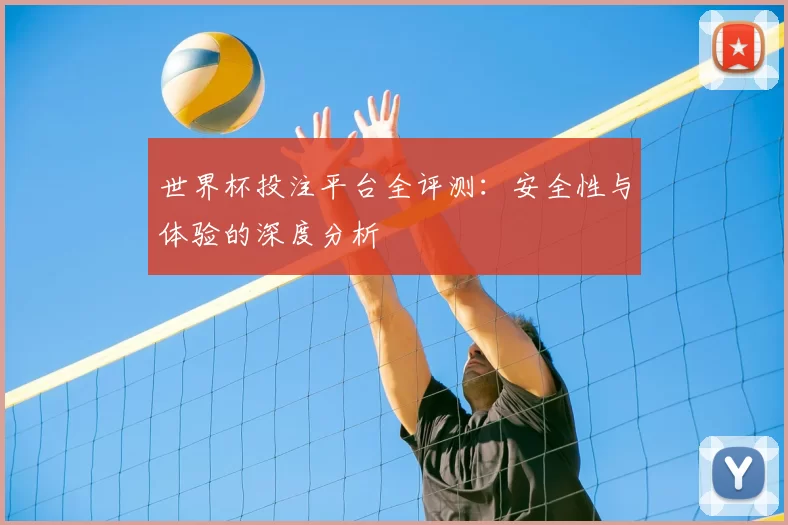 世界杯投注平台全评测:安全性与体验的深度分析