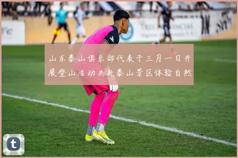 山东泰山俱乐部代表于三月一日开展登山活动共赴泰山景区体验自然之美
