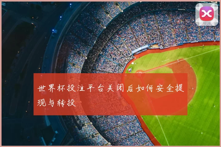 世界杯投注平台关闭后如何安全提现与转投