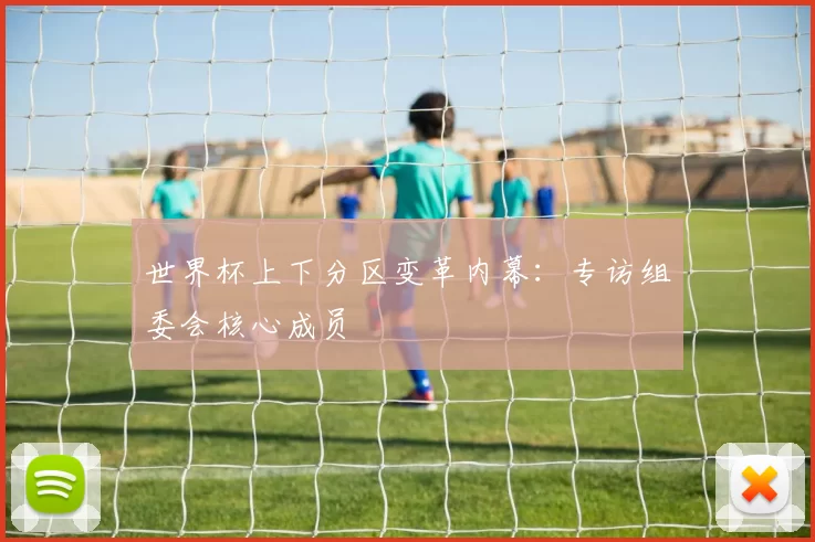 世界杯上下分区变革内幕:专访组委会核心成员