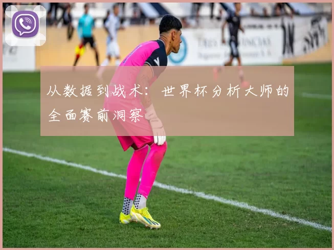 从数据到战术：世界杯分析大师的全面赛前洞察