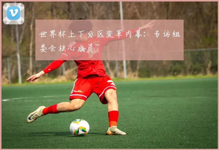 世界杯上下分区变革内幕:专访组委会核心成员