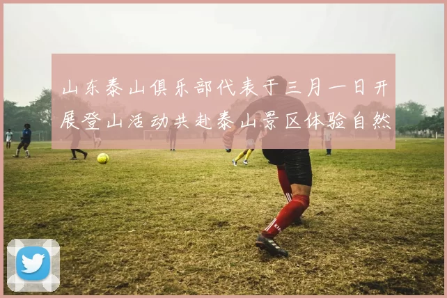山东泰山俱乐部代表于三月一日开展登山活动共赴泰山景区体验自然之美