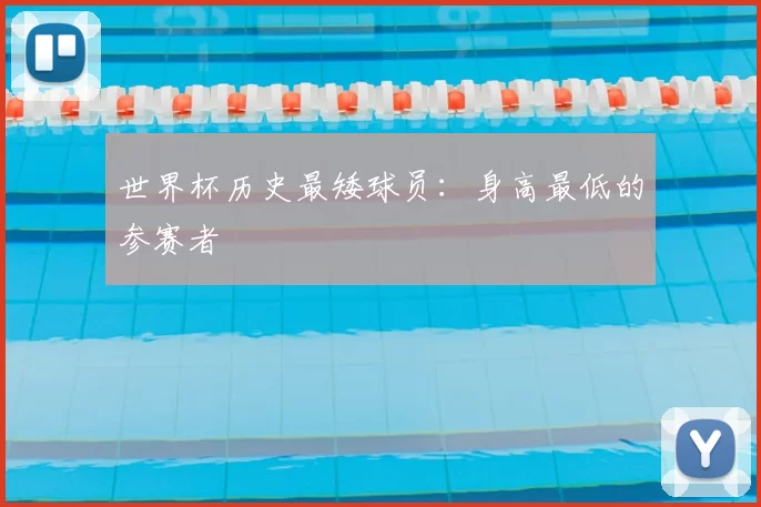 世界杯历史最矮球员：身高最低的参赛者