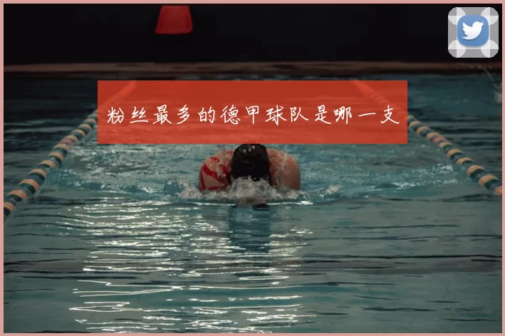 粉丝最多的德甲球队是哪一支