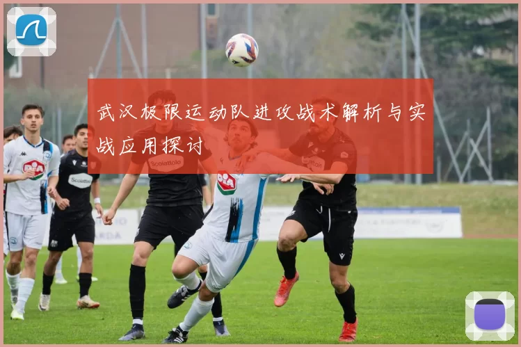 武汉极限运动队进攻战术解析与实战应用探讨