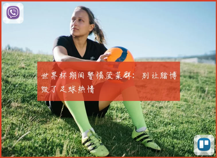 世界杯期间警惕菠菜群：别让赌博毁了足球热情