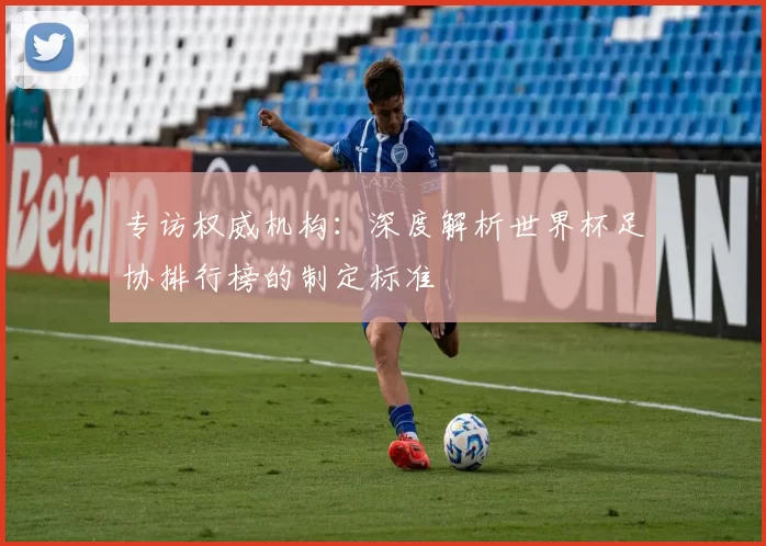 专访权威机构:深度解析世界杯足协排行榜的制定标准