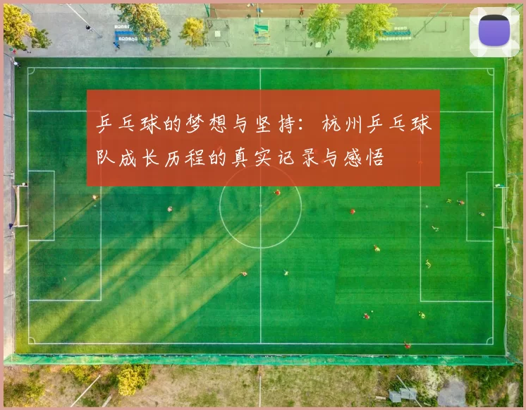 乒乓球的梦想与坚持：杭州乒乓球队成长历程的真实记录与感悟