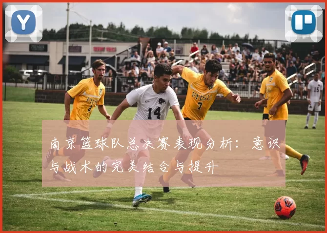 南京篮球队总决赛表现分析：意识与战术的完美结合与提升