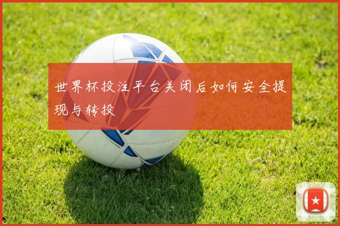 世界杯投注平台关闭后如何安全提现与转投